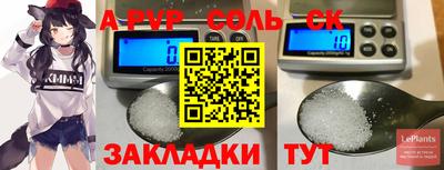 эйфоретик Кингисепп