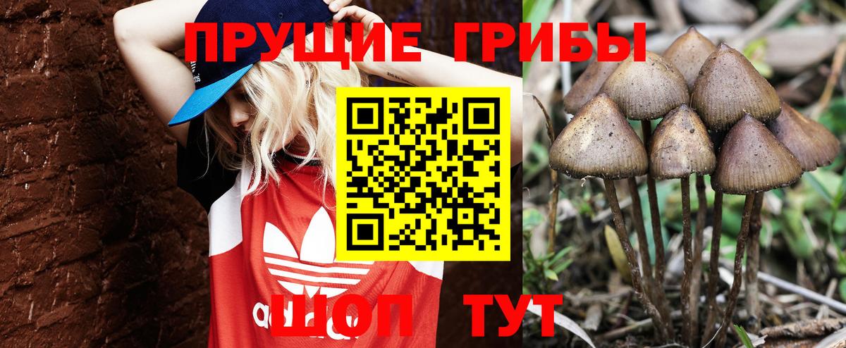 Кунгур  Галлюциногенные грибы мицелий  Галлюциногенные грибы Psilocybine cubensis  Вход с VPN 