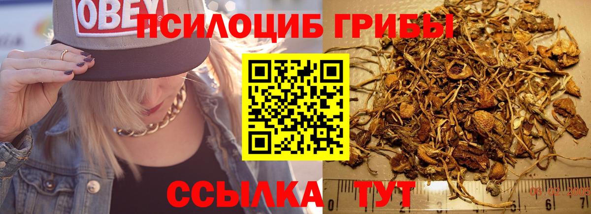 Галлюциногенные грибы ЛСД Кунгур